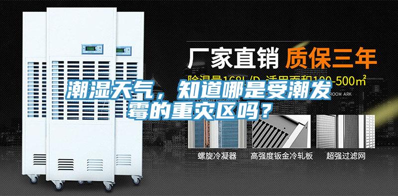 潮濕天氣，知道哪是受潮發黴的重災區嗎？