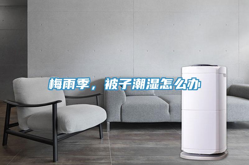 梅雨季，被子潮濕怎麽辦
