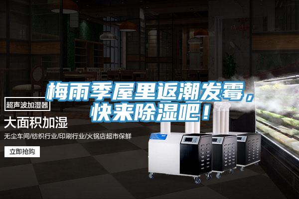 梅雨季屋裏返潮發黴,快來除濕吧!