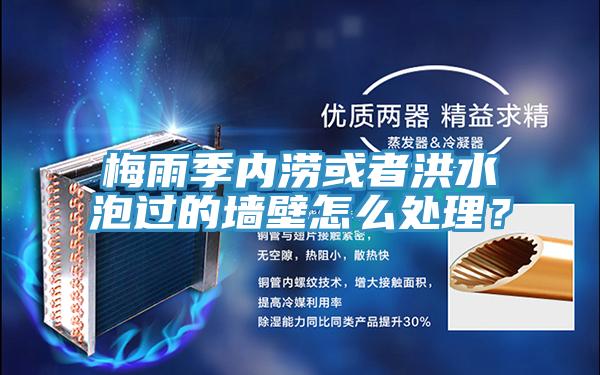 梅雨季內澇或者洪水泡過的牆壁怎麽處理？