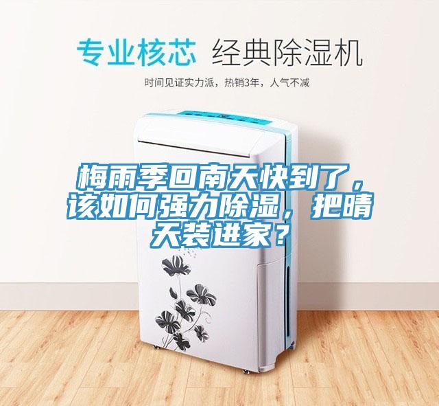 梅雨季回南天快到了，該如何強力除濕，把晴天裝進家？