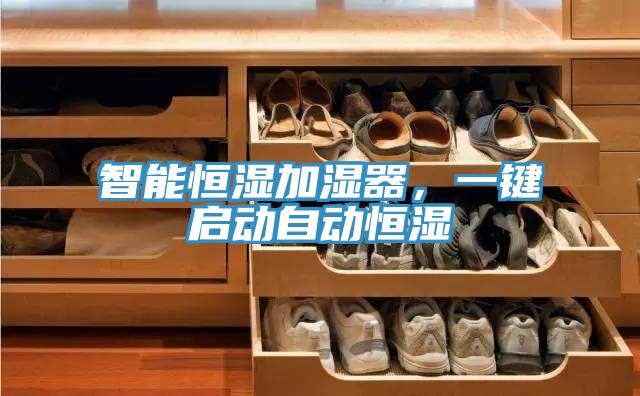 智能恒濕加濕器，一鍵啟動自動恒濕