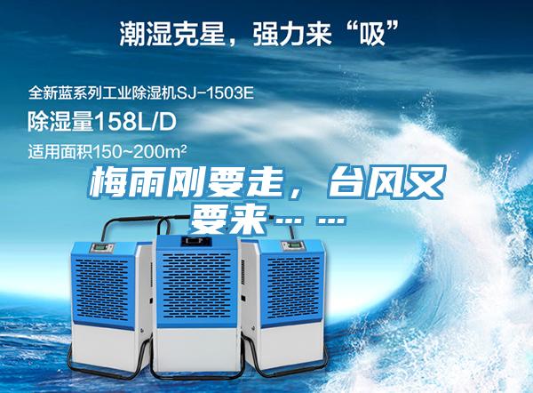 梅雨剛要走，台風又要來……