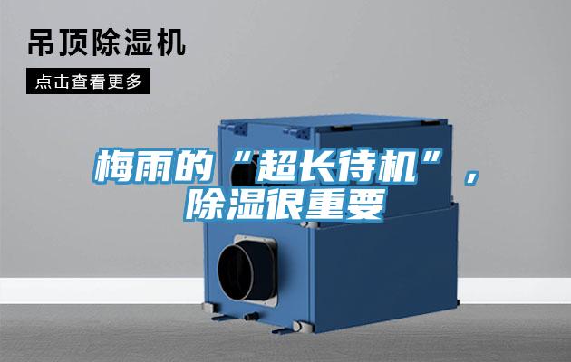 梅雨的“超長待機”，除濕很重要