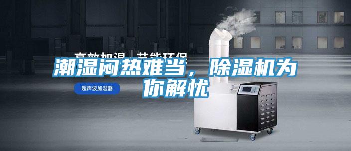 潮濕悶熱難當，好色先生在线播放為你解憂