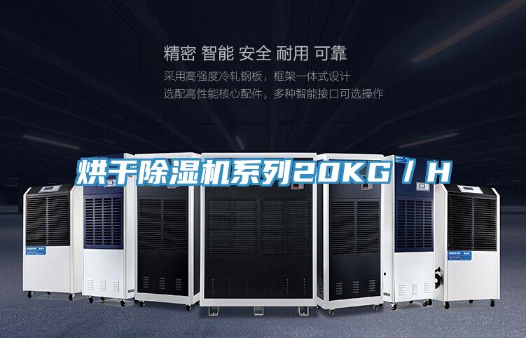 烘幹好色先生在线播放係列20KG/H