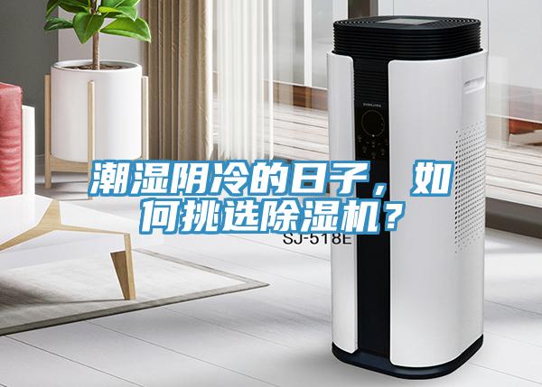 潮濕陰冷的日子，如何挑選好色先生在线播放？