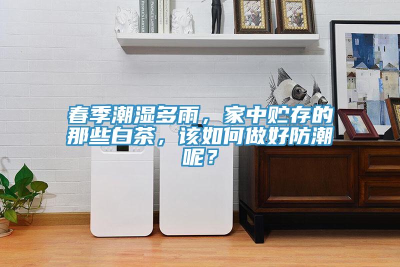 春季潮濕多雨，家中貯存的那些白茶，該如何做好防潮呢？