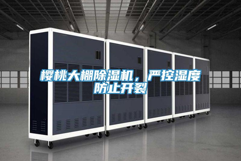 櫻桃大棚好色先生在线播放，嚴控濕度防止開裂