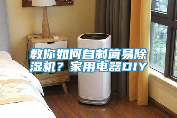 教你如何自製簡易好色先生在线播放？家用電器DIY