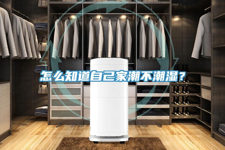 怎麽知道自己家潮不潮濕？