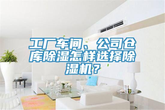 工廠車間、公司倉庫除濕怎樣選擇好色先生在线播放？