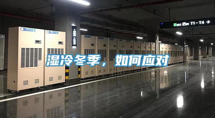 濕冷冬季，如何應對