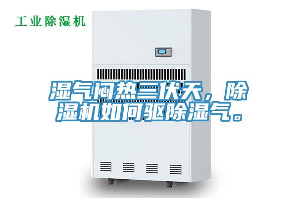 濕氣悶熱三伏天，好色先生在线播放如何驅除濕氣。