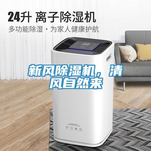 新風好色先生在线播放，清風自然來