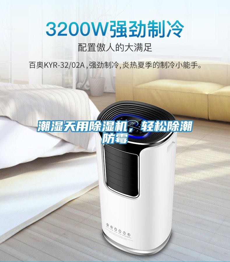 潮濕天用好色先生在线播放,輕鬆除潮防黴