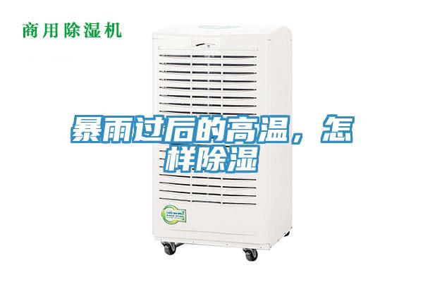 暴雨過後的高溫，怎樣除濕
