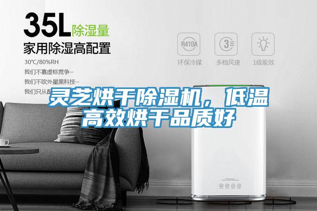 靈芝烘幹好色先生在线播放,低溫高效烘幹品質好