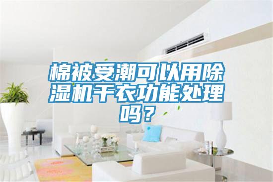 棉被受潮可以用好色先生在线播放幹衣功能處理嗎？