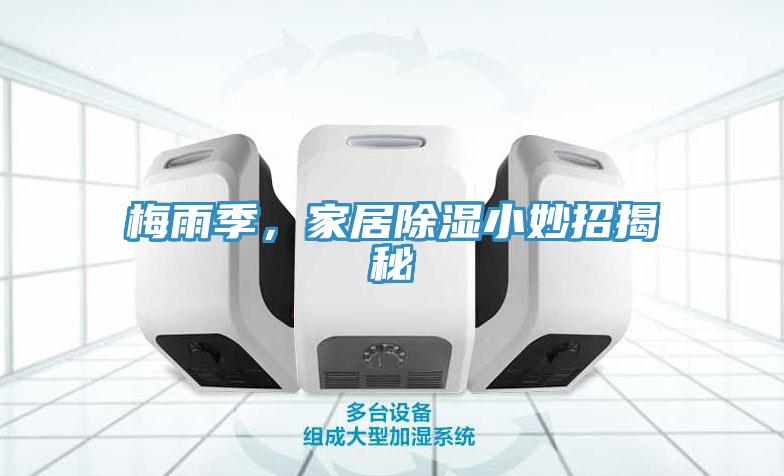 梅雨季，家居除濕小妙招揭秘