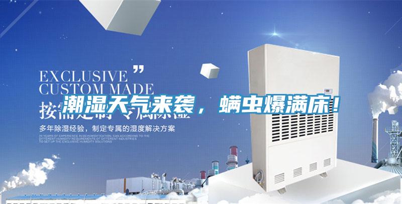 潮濕天氣來襲,蟎蟲爆滿床!