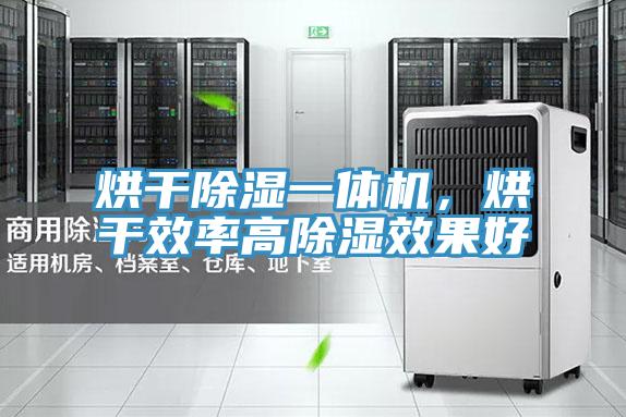烘幹除濕一體機,烘幹效率高除濕效果好