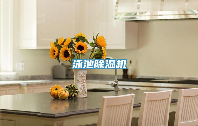 泳池好色先生在线播放