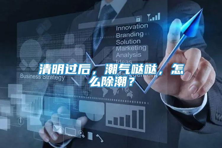 清明過後，潮氣噠噠，怎麽除潮？