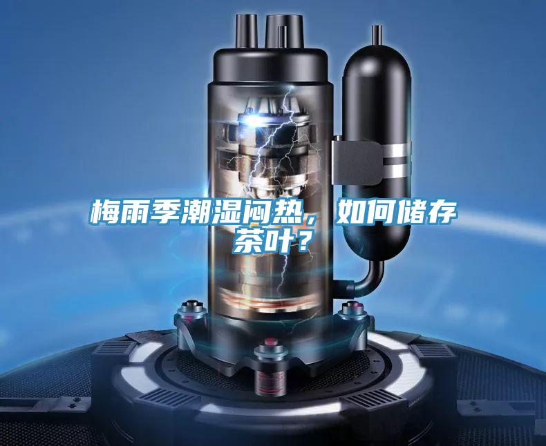 梅雨季潮濕悶熱，如何儲存茶葉？