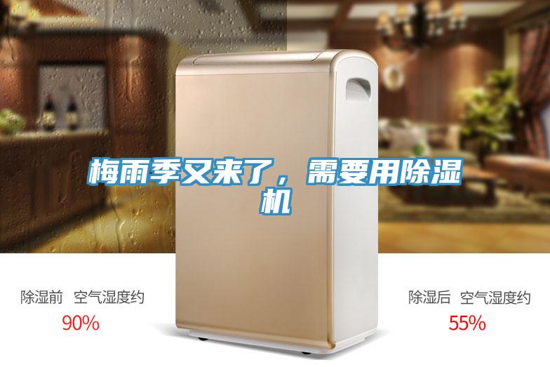 梅雨季又來了，需要用好色先生在线播放