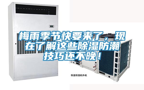 梅雨季節快要來了，現在了解這些除濕防潮技巧還不晚！