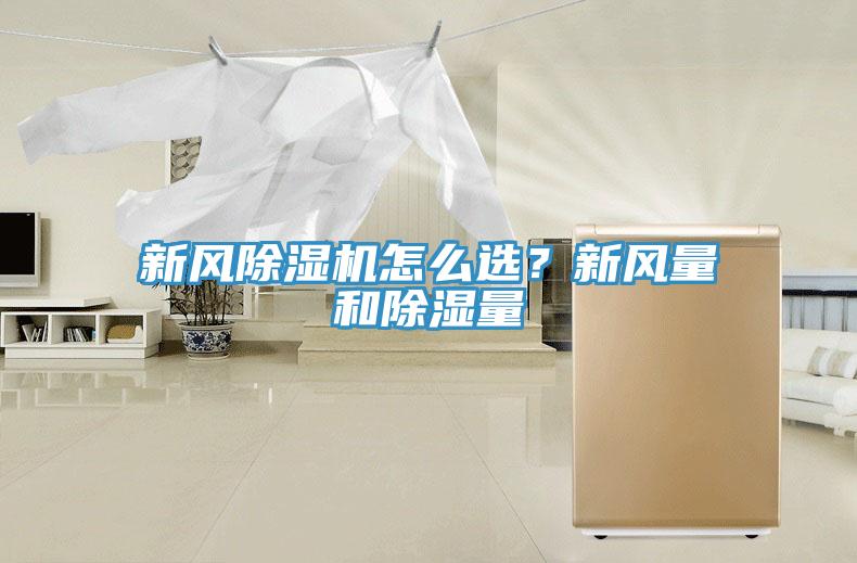 新風好色先生在线播放怎麽選？新風量和除濕量