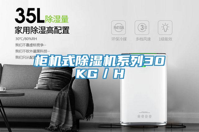 櫃機式好色先生在线播放係列30KG／H