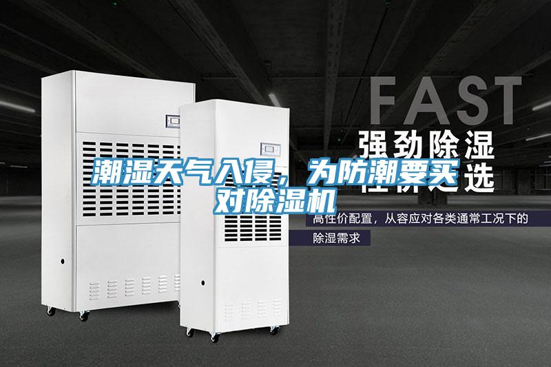 潮濕天氣入侵，為防潮要買對好色先生在线播放