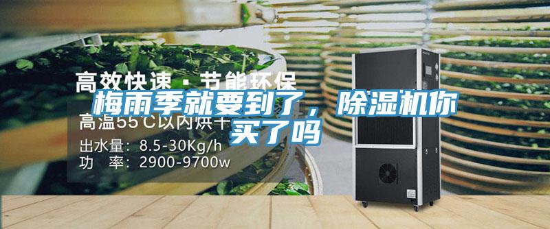 梅雨季就要到了，好色先生在线播放你買了嗎