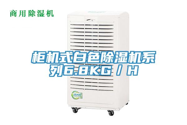 櫃機式白色好色先生在线播放係列6.8KG／H
