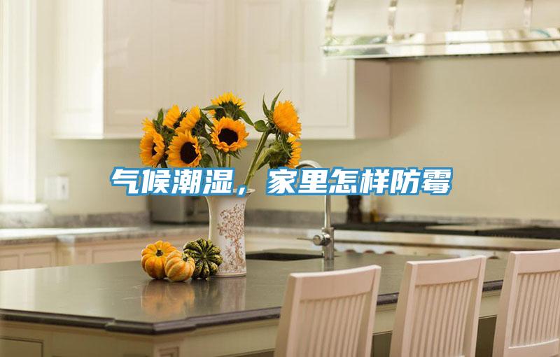 氣候潮濕，家裏怎樣防黴