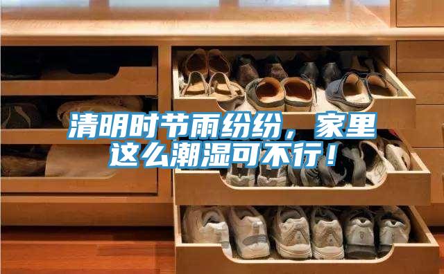 清明時節雨紛紛,家裏這麽潮濕可不行!
