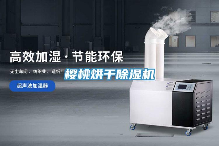 櫻桃烘幹好色先生在线播放