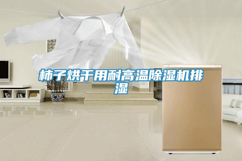 柿子烘幹用耐高溫好色先生在线播放排濕