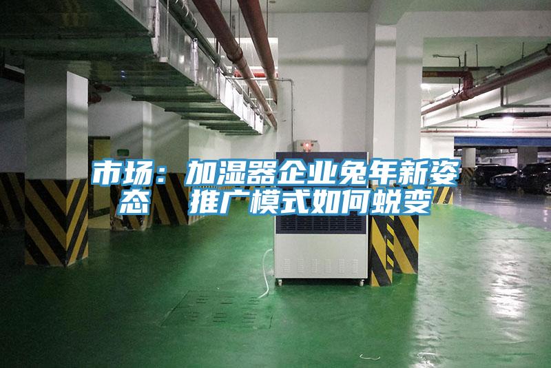 市場：加濕器企業兔年新姿態  推廣模式如何蛻變