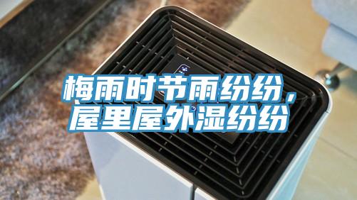 梅雨時節雨紛紛，屋裏屋外濕紛紛