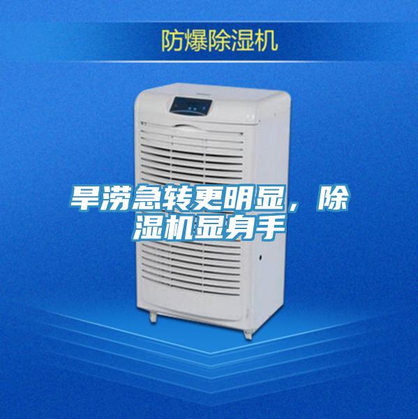 旱澇急轉更明顯，好色先生在线播放顯身手