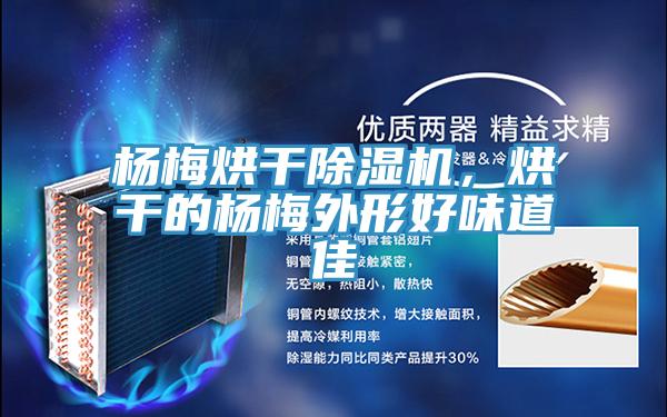 楊梅烘幹好色先生在线播放，烘幹的楊梅外形好味道佳