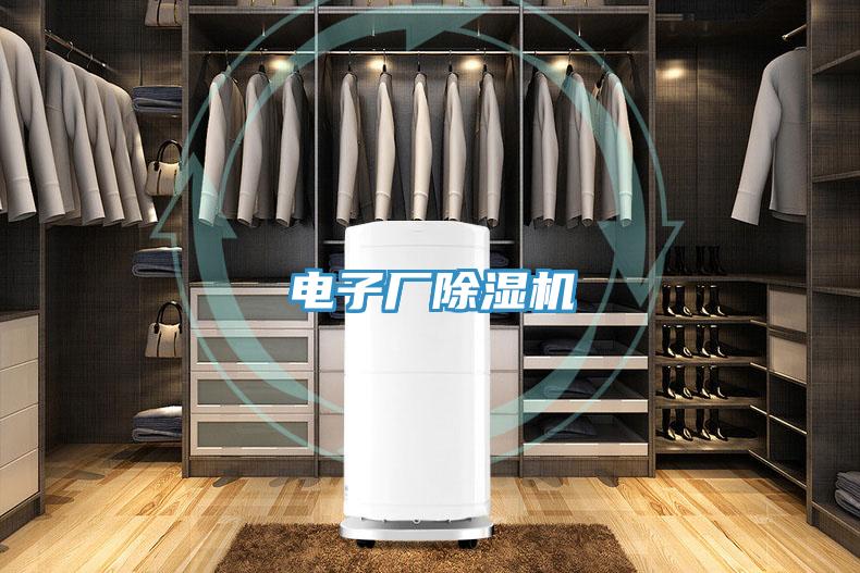 電子廠好色先生在线播放