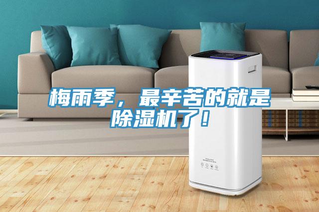 梅雨季，最辛苦的就是好色先生在线播放了！