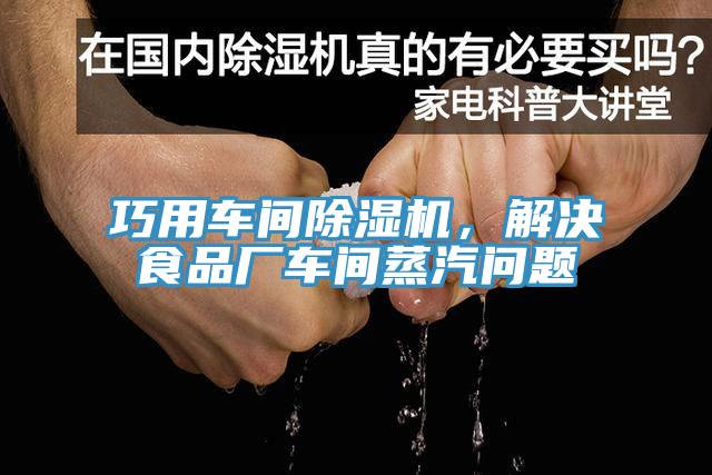 巧用車間好色先生在线播放，解決食品廠車間蒸汽問題