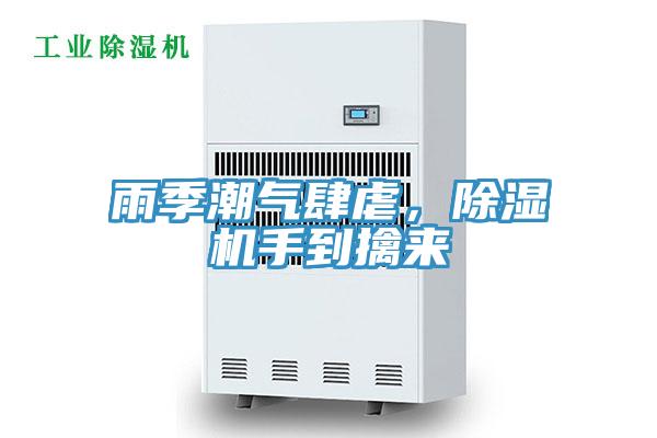 雨季潮氣肆虐，好色先生在线播放手到擒來