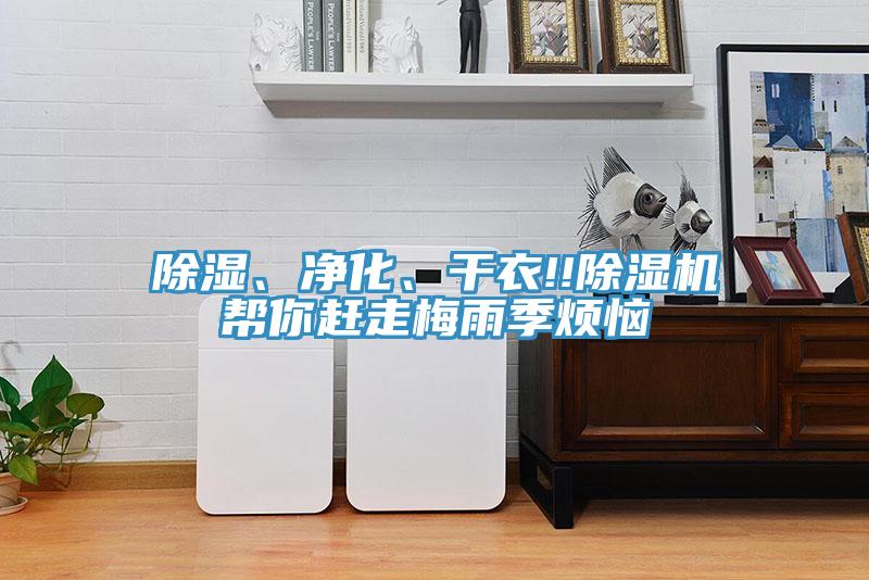 除濕、淨化、幹衣!!好色先生在线播放幫你趕走梅雨季煩惱