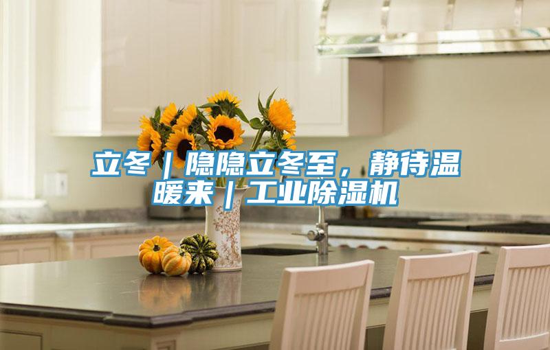 立冬｜隱隱立冬至，靜待溫暖來｜工業好色先生在线播放